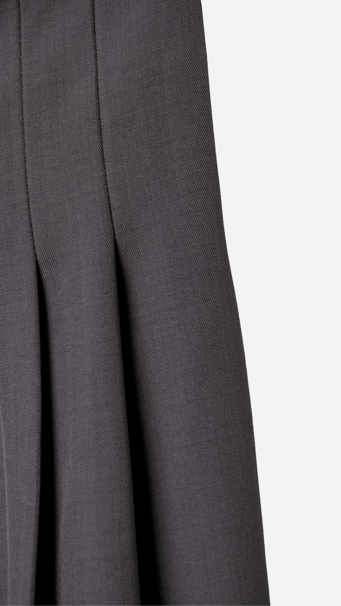 WIDE LEG PLEATED DRESS PANTS