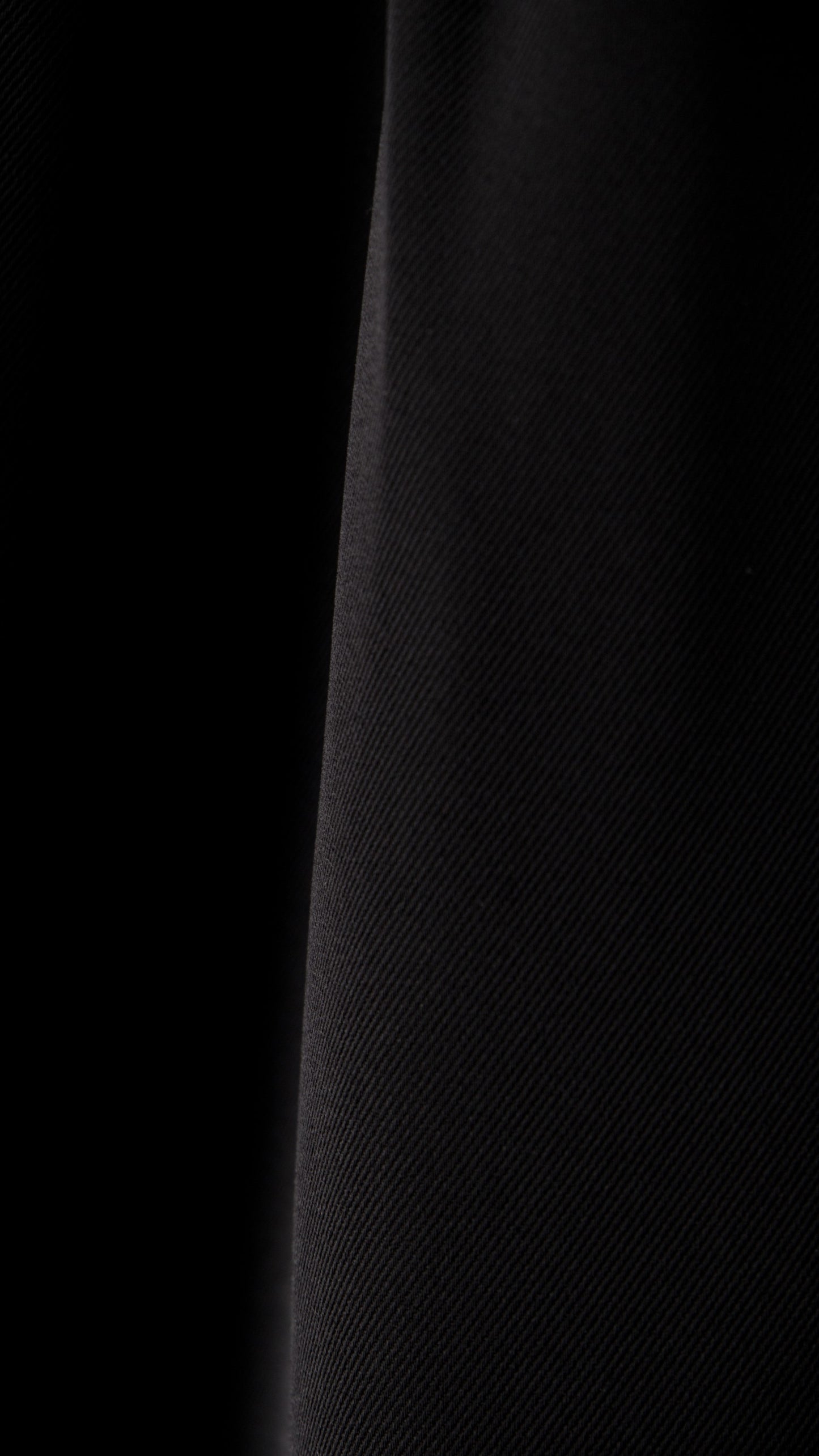 PLEATED WIDE LEG DRESS PANT