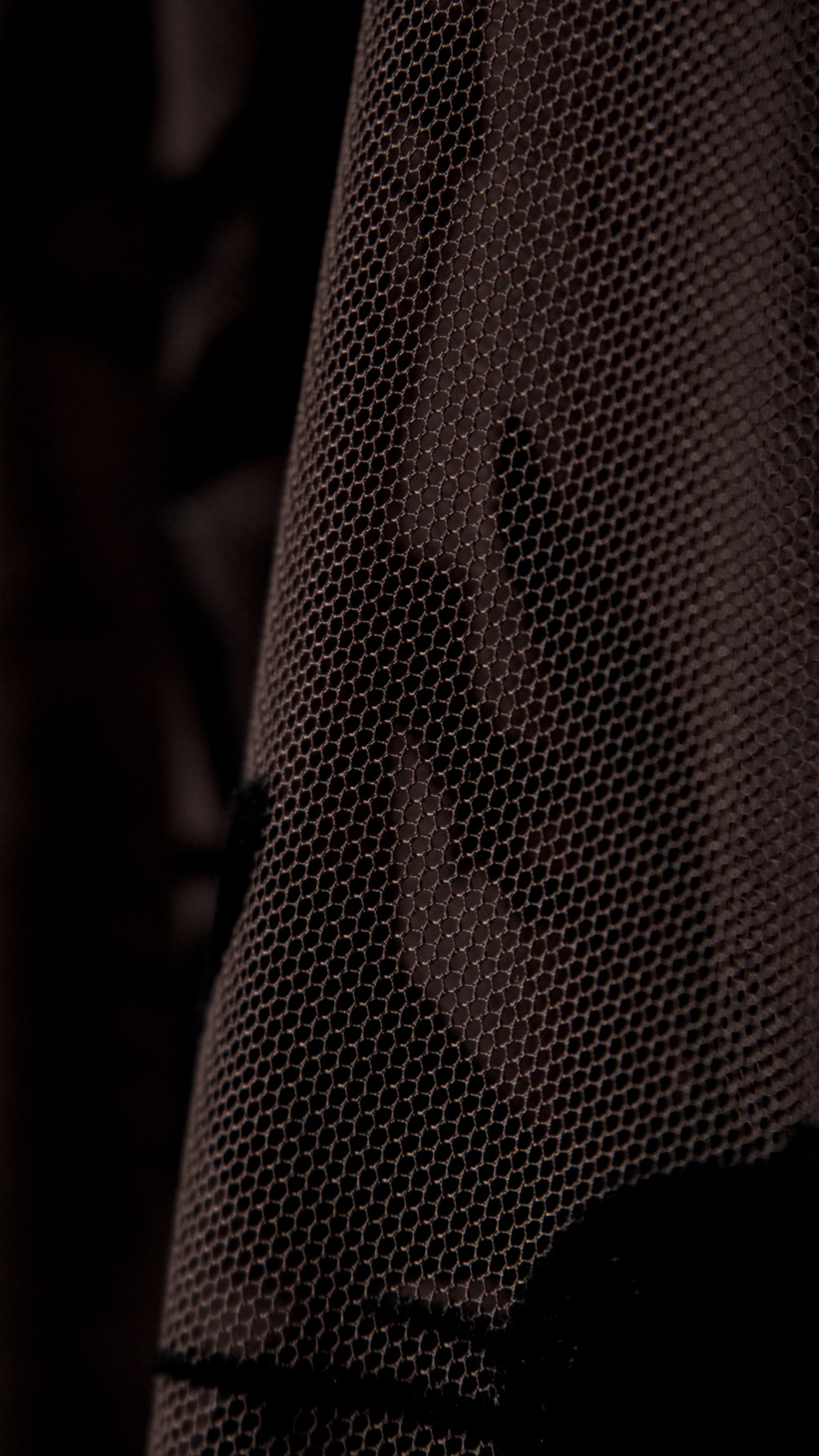 ROSES FLOCKED TULLE SKIRT