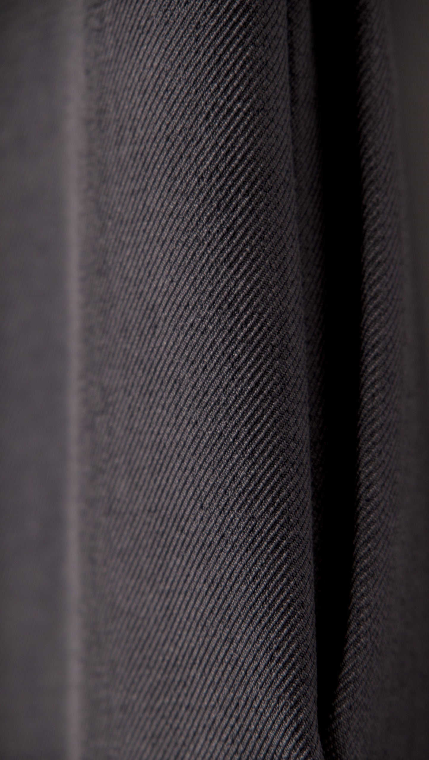 WIDE LEG PLEATED DRESS PANTS