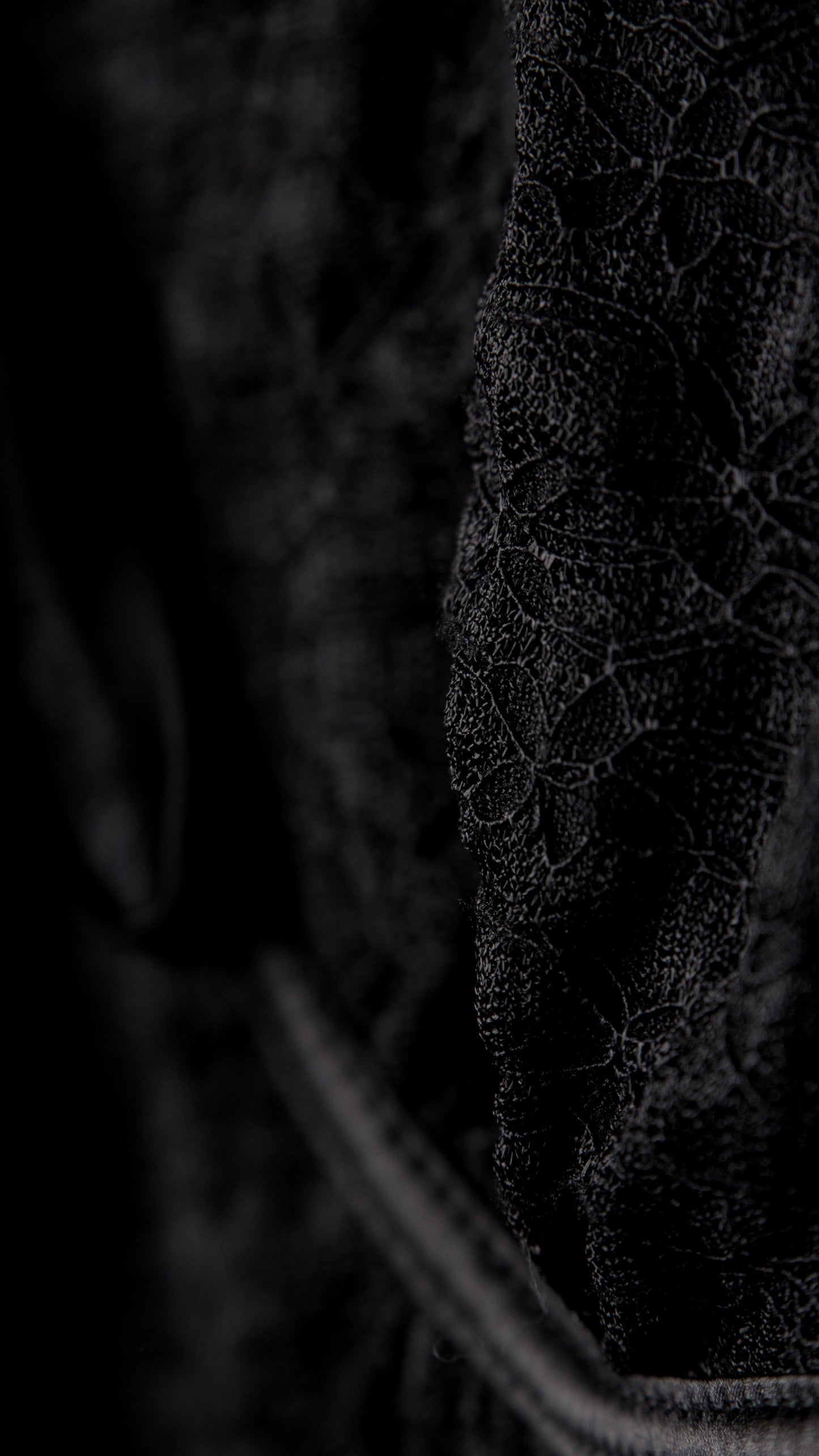 LACE T-SHIRT WITH BOW NECKLINE