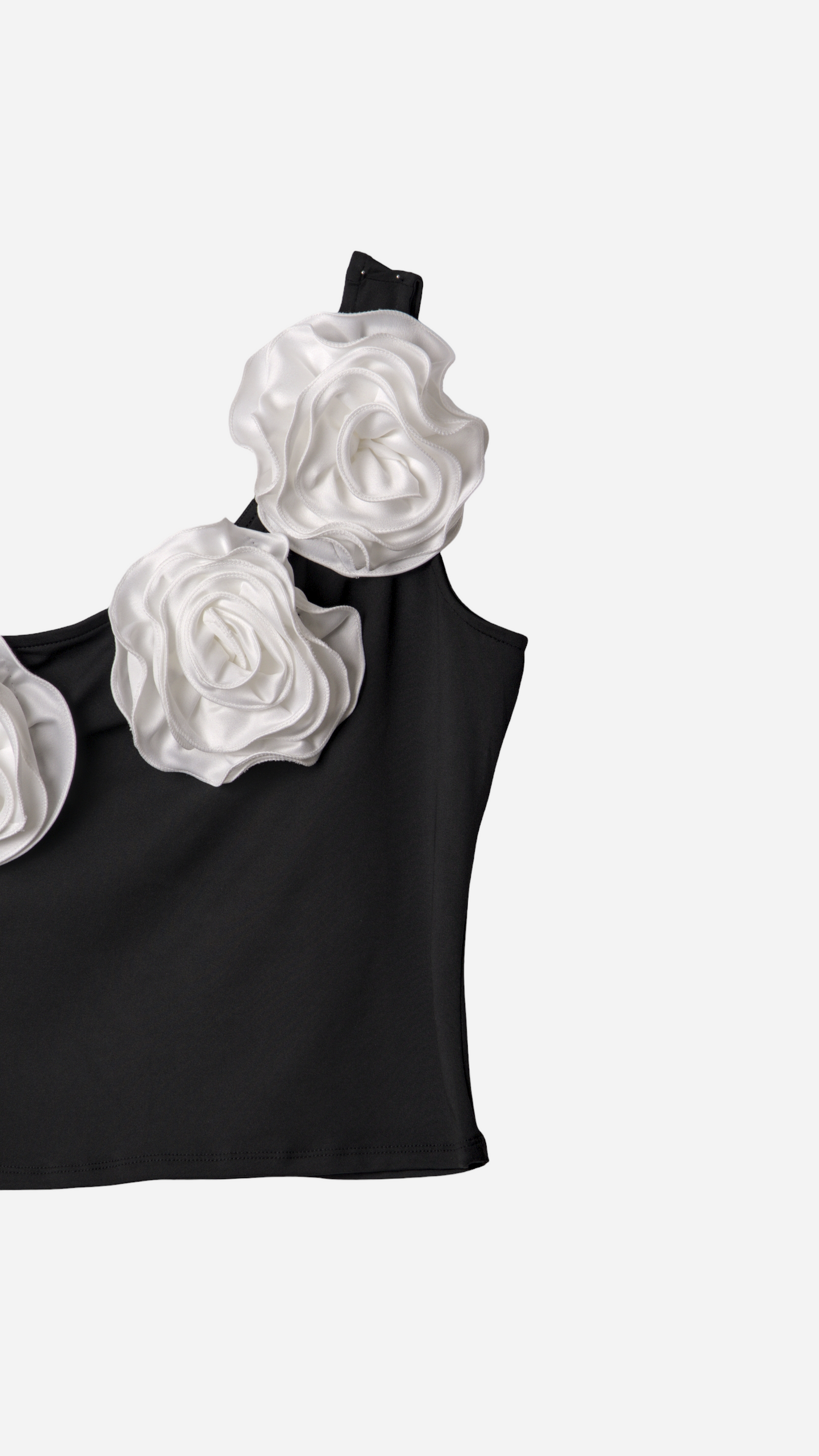 TOP FLORES 3D